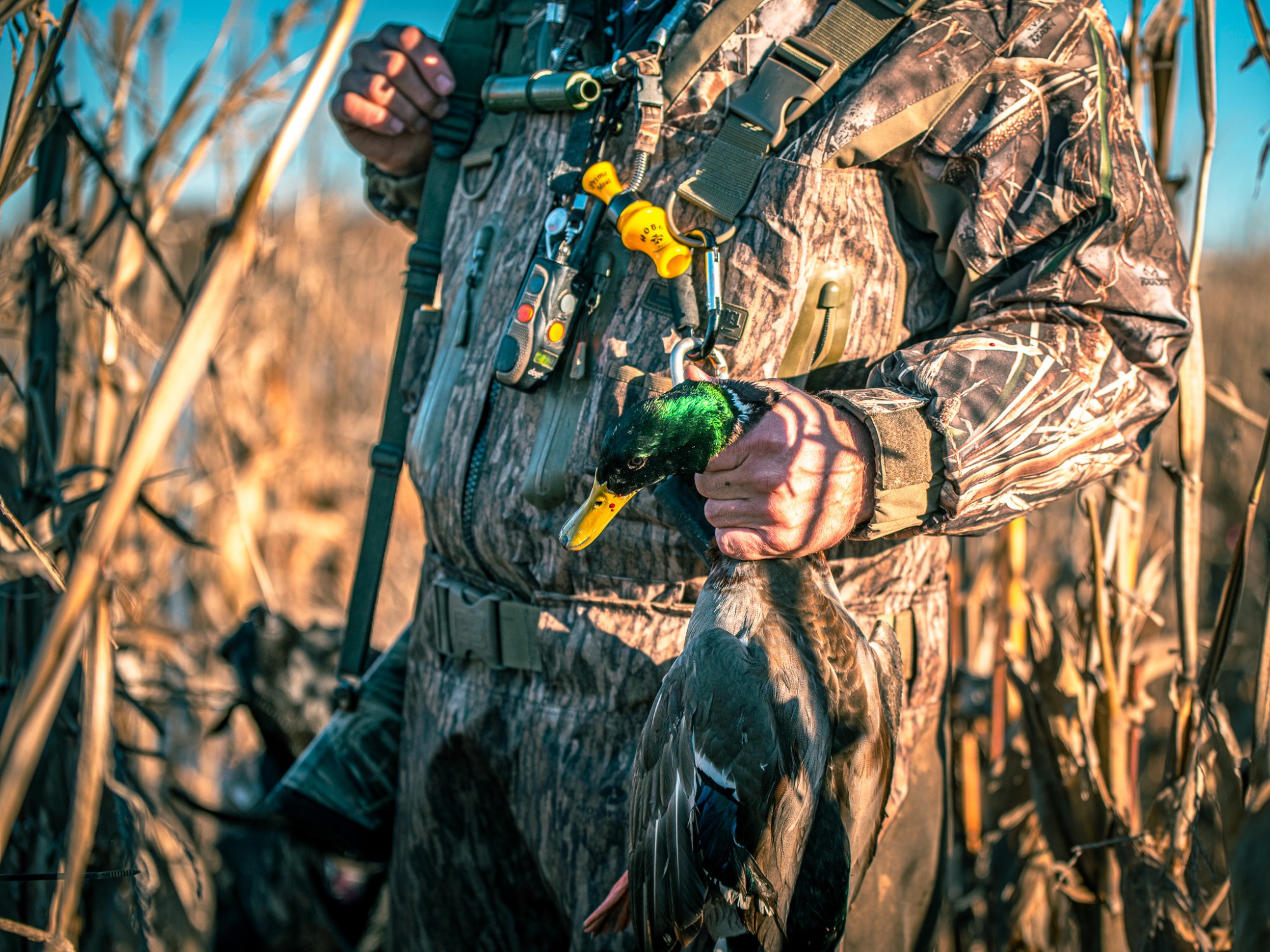 Check out the yellow Hobo Prime Meat Duck Call! Check out the yellow Hobo Prime Meat Duck Call!