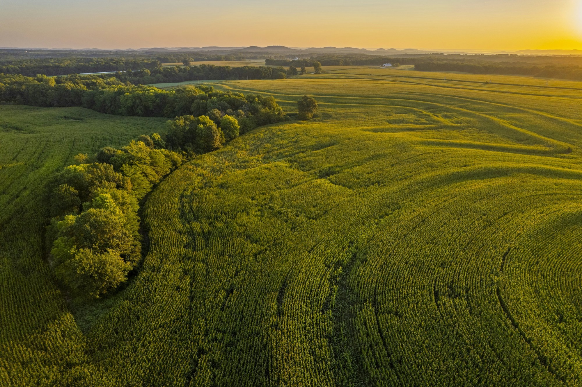Buying farmland with a strong yield history provides a long-term investment with consistent returns. Buying farmland with a strong yield history provides a long-term investment with consistent returns.
