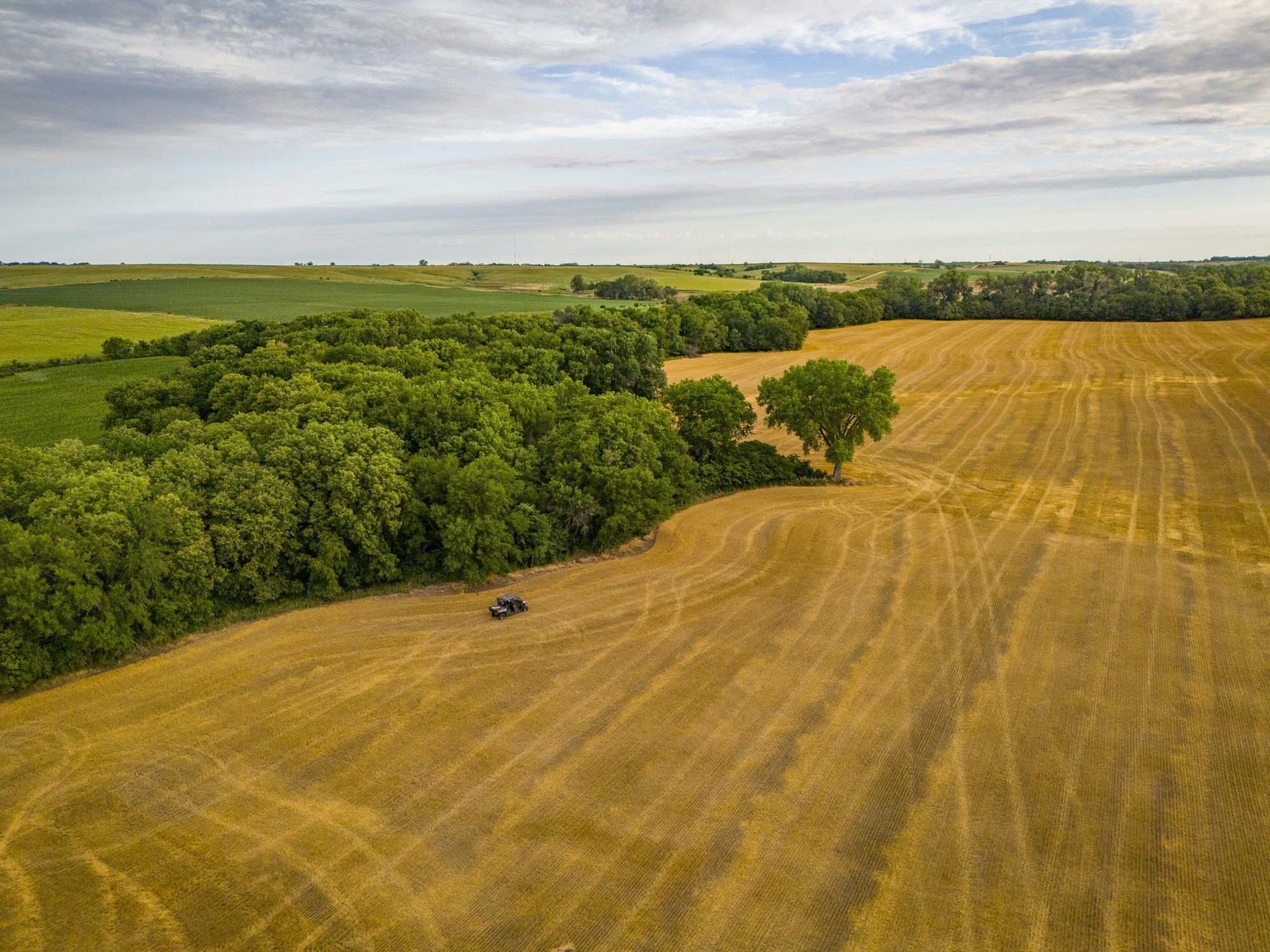 Competitive bidding at farmland auctions can help sellers maximize the price of their tillable land. Competitive bidding at farmland auctions can help sellers maximize the price of their tillable land.