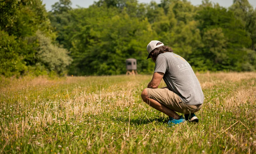 Local expertise national reach