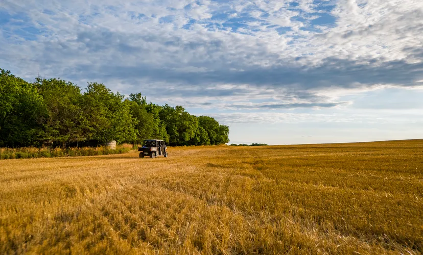 Comprehensive marketing